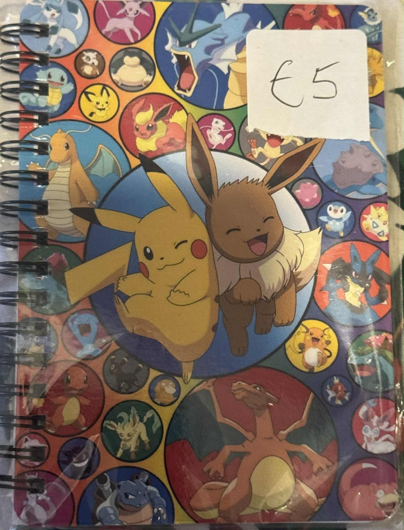 A5 Character Notebooks