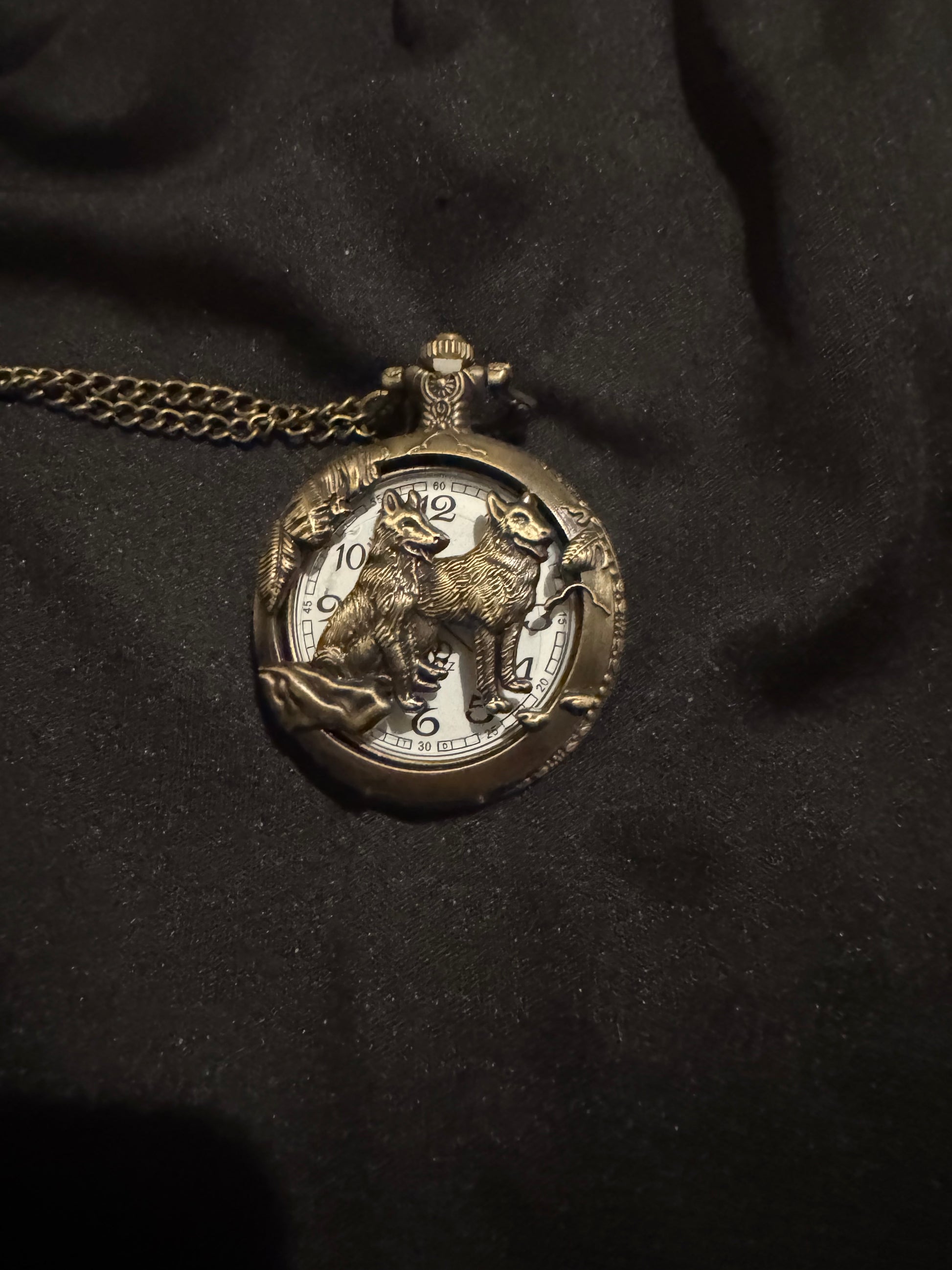 Fox Family Antique style pocket watch