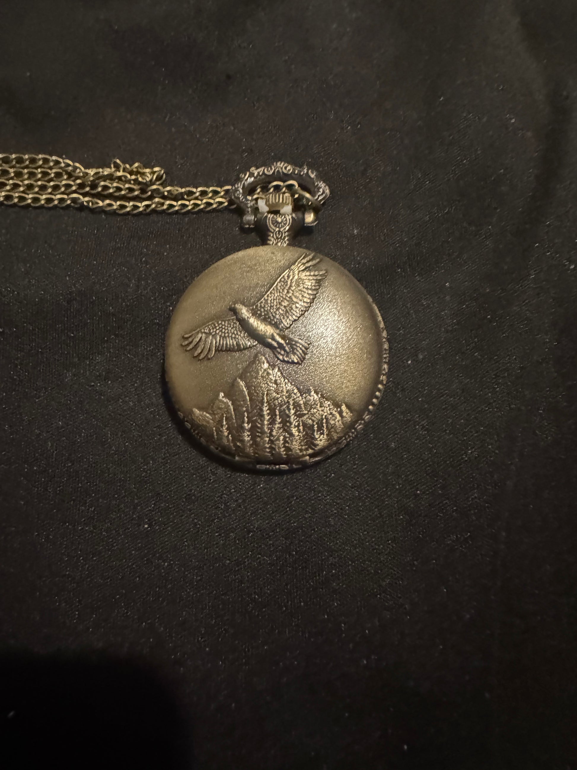 Eagle vintage pocket watch