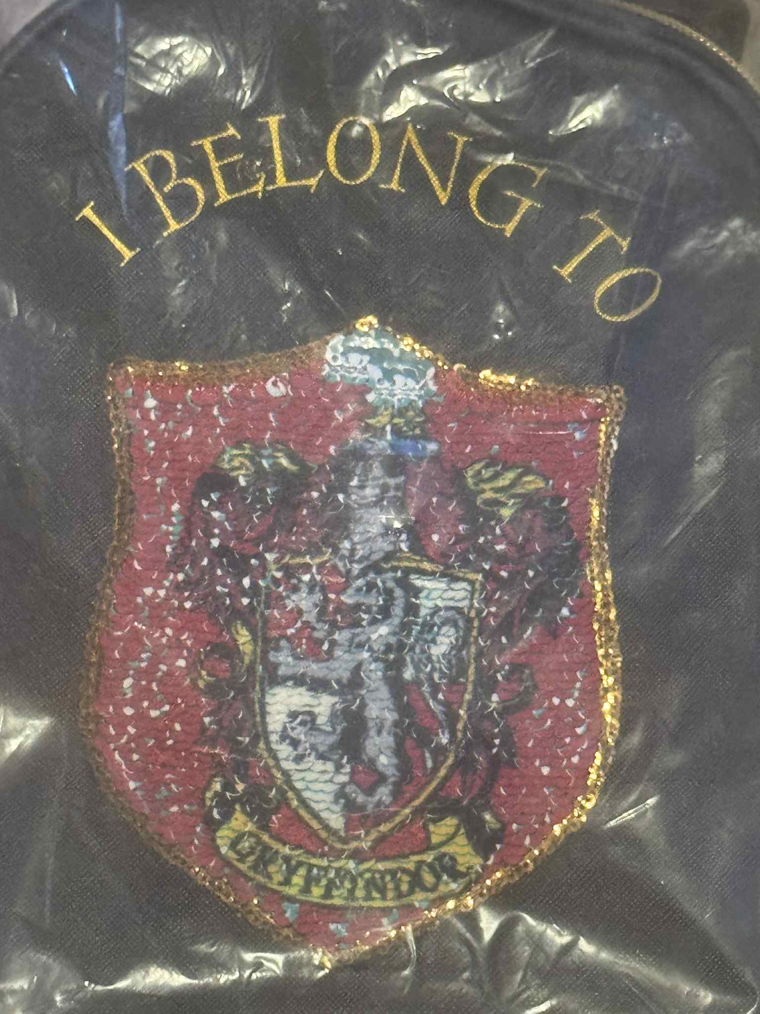 Harry Potter Choose your House Reversible Sequin bag